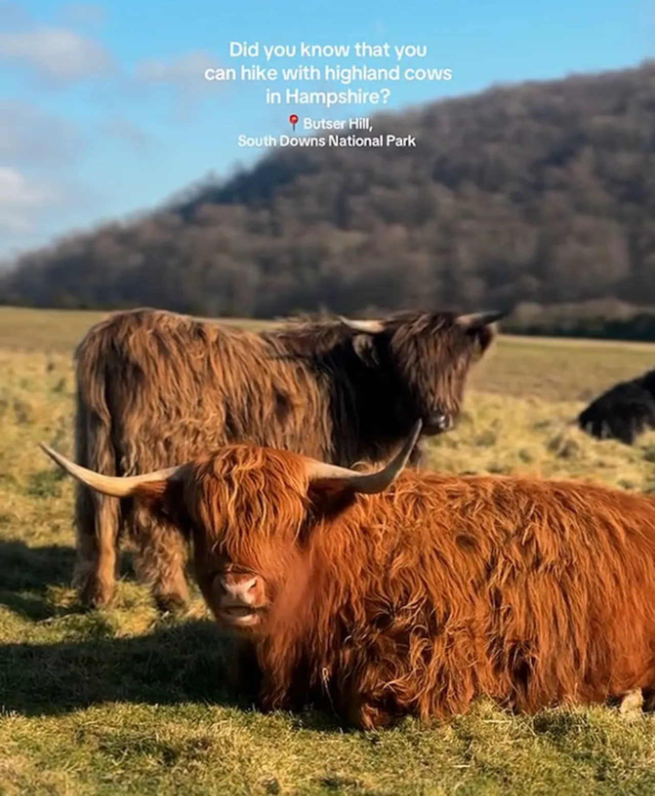 Yeni ‘doğa trendi’ az daha öldürüyordu! Yetkililer uyardı: Gerçeği yansıtmıyor