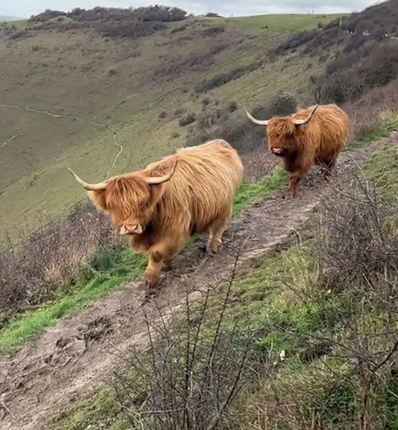 Yeni ‘doğa trendi’ az daha öldürüyordu! Yetkililer uyardı: Gerçeği yansıtmıyor