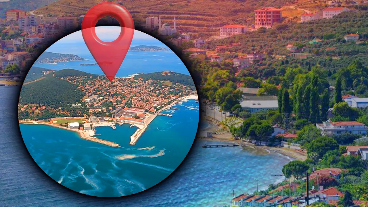 İl il gezen hastalık şimdi de Marmara’da! Şap karantinası başladı 