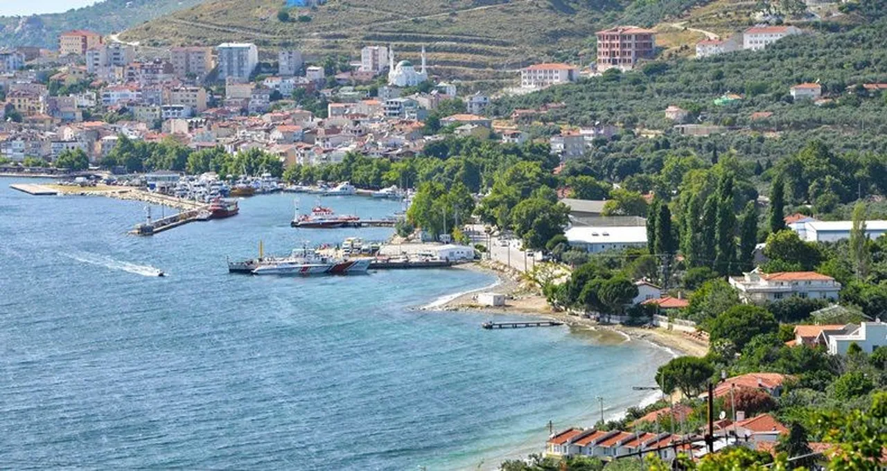 İl il gezen hastalık şimdi de Marmara’da! Şap karantinası başladı