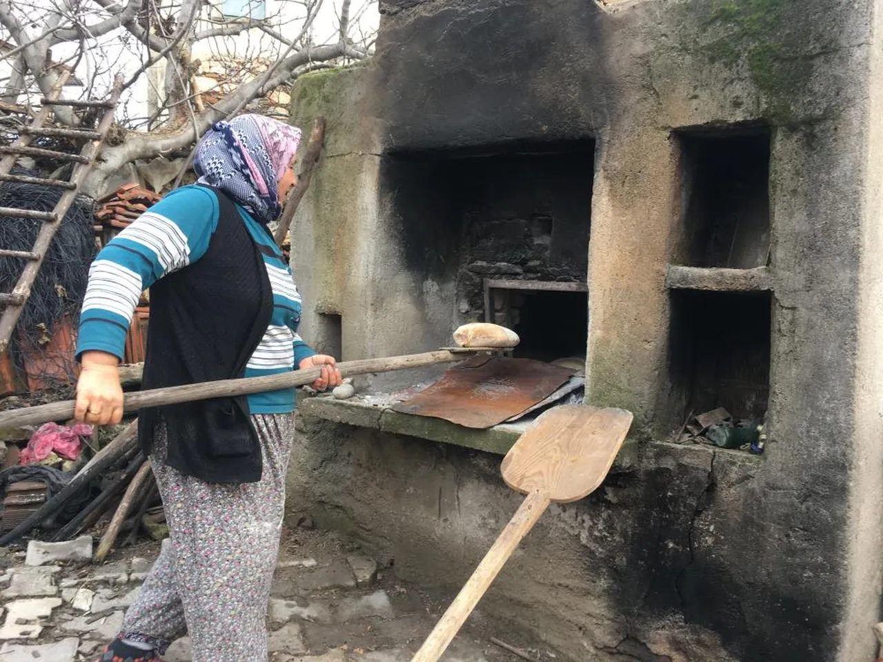 Meşe odununda 3 saatte pişiyor! 30 gün bozulmadan taze kalıyor
