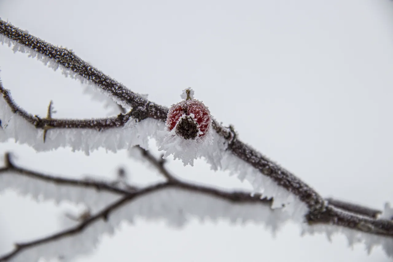 Sıcaklık eksi 27 derece! Suları donan kentte ‘bidonlu’ mesai