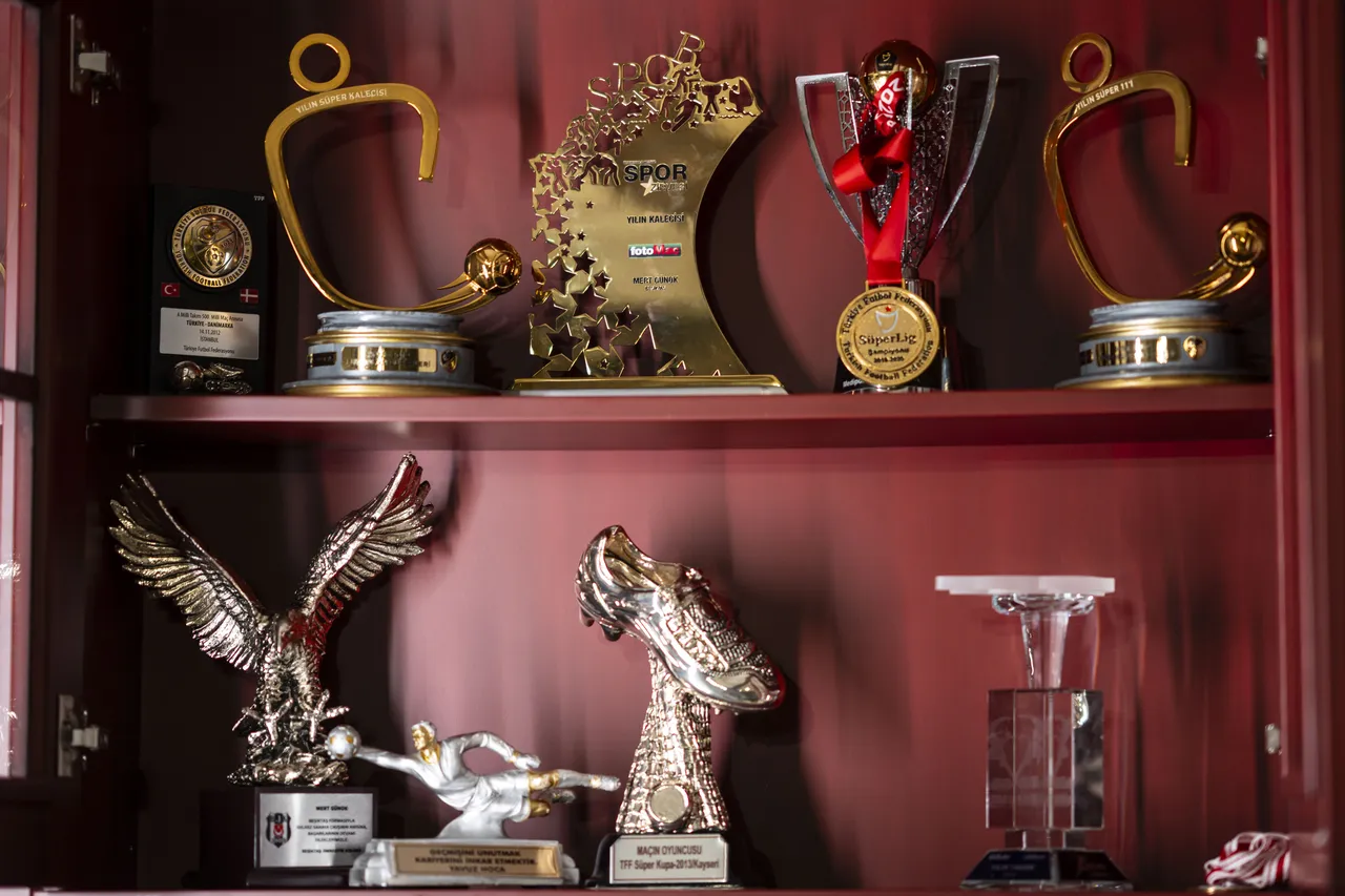 Mert Günok'un ödülleri