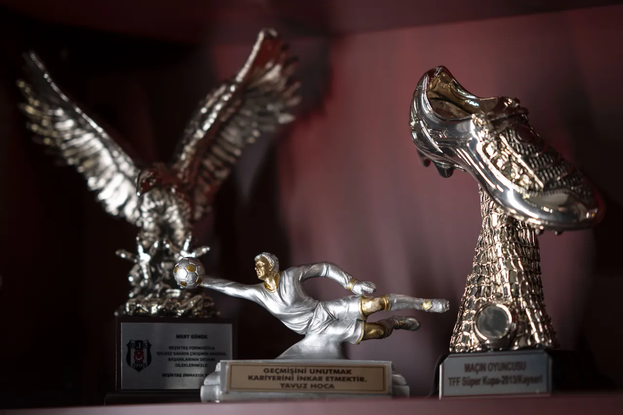 Mert Günok'un ödülleri