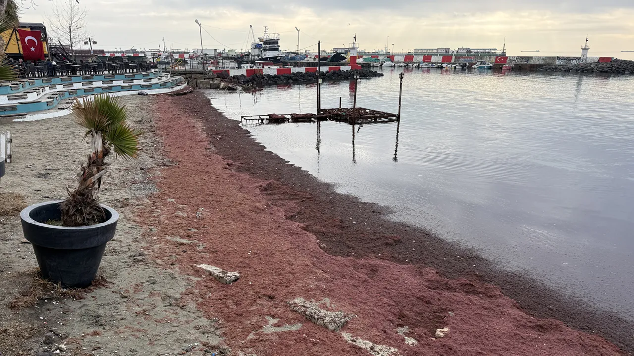 Tekirdağ'da sahil kızıla büründü, nedeni belli oldu