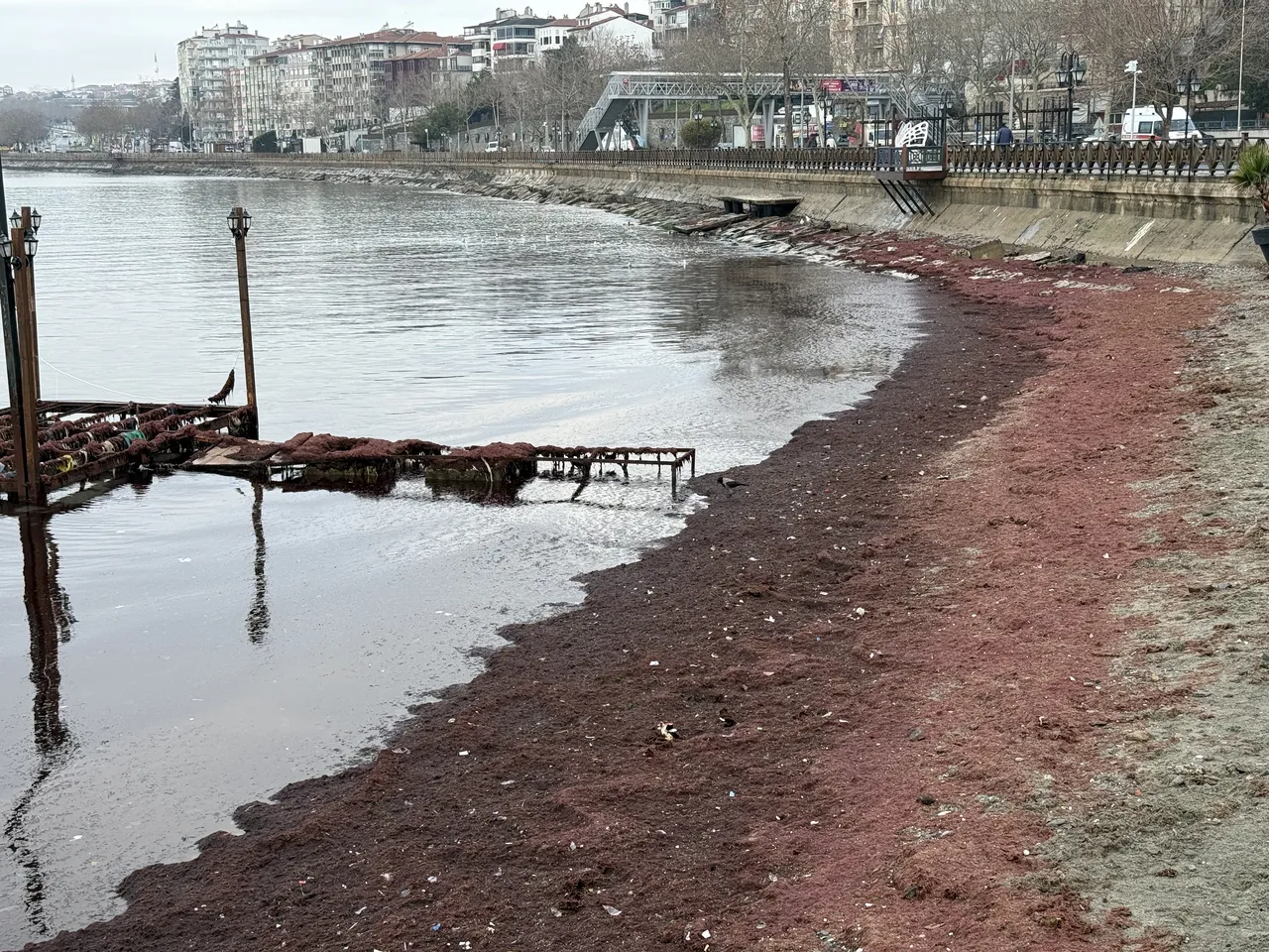 Tekirdağ'da sahil kızıla büründü, nedeni belli oldu
