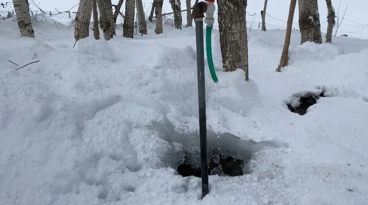 Ağrı buz tuttu! Ne ağaç, ne dere, ne araba hepsi donuyor...