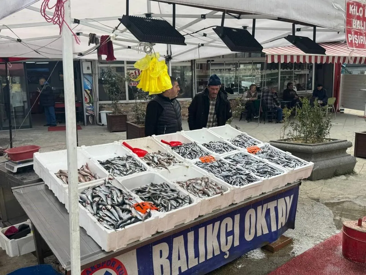 Hamsi yeniden tezgahlarda! 200 liradan alıcı buluyor