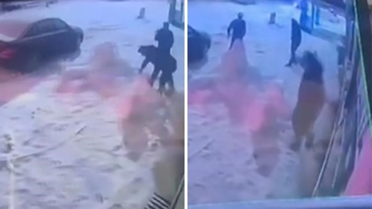 Binbir emekle yapılan kardan adama kafa attı!