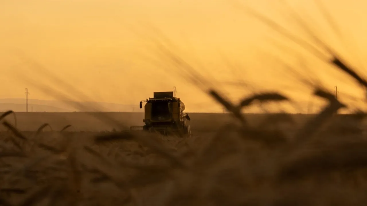 Organize tarım bölgelerinden ekonomiye 20 milyar lira katkı