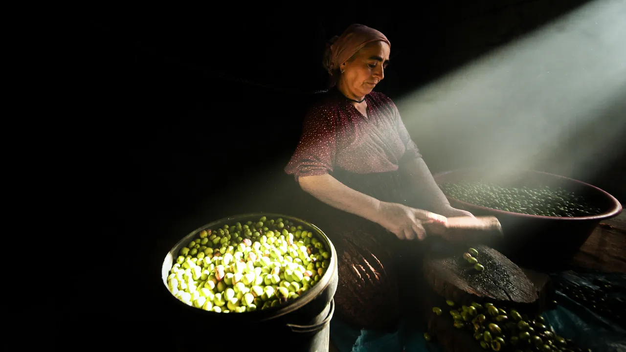 Türk gastronomisiyle turizme yeni rota