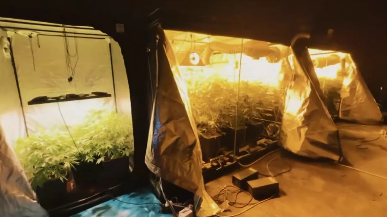 23 ilde operasyon! Milyonlarca hap ve kilolarca uyuşturucu madde ele geçirildi