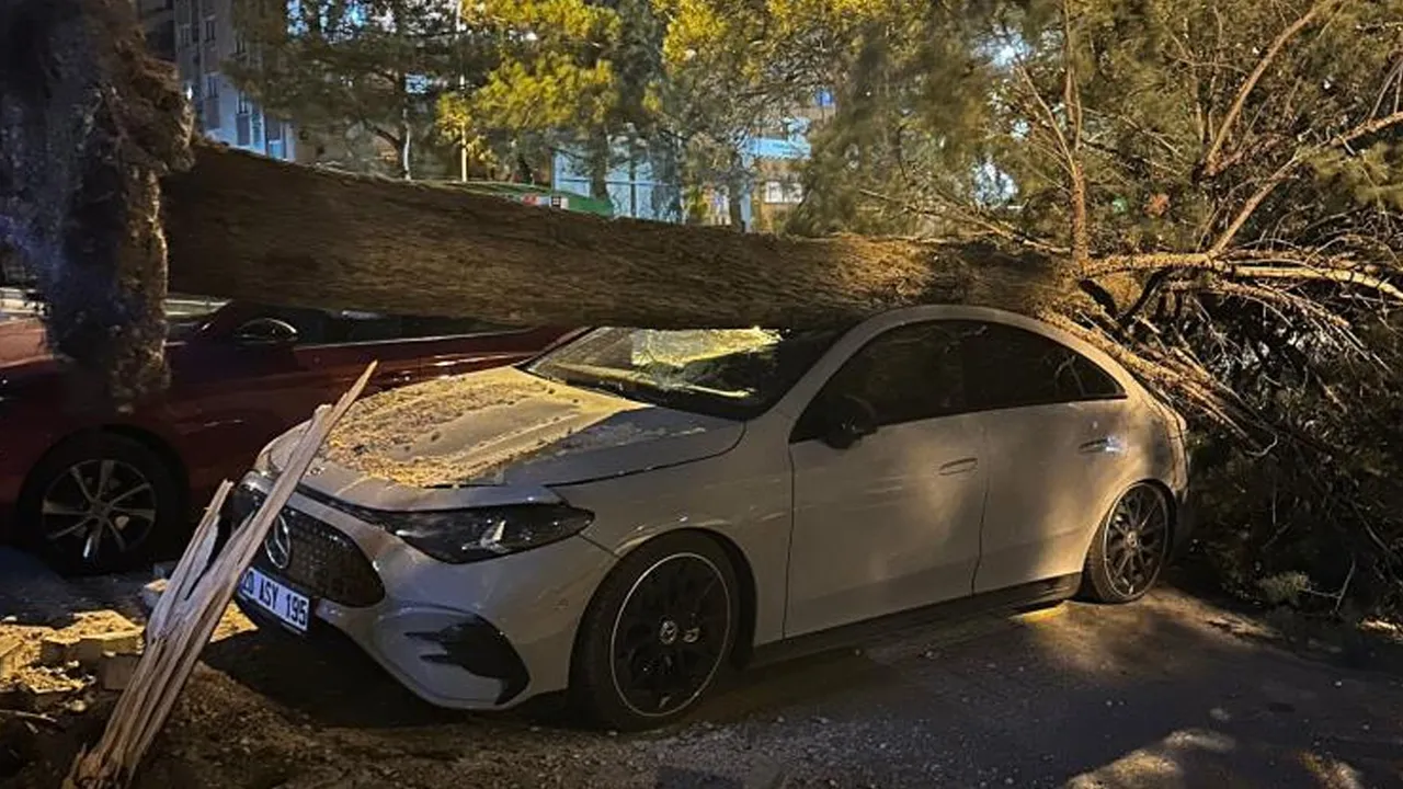 Denizli'yi fırtına vurdu: Ağaçlar devrildi, çatılar uçtu!