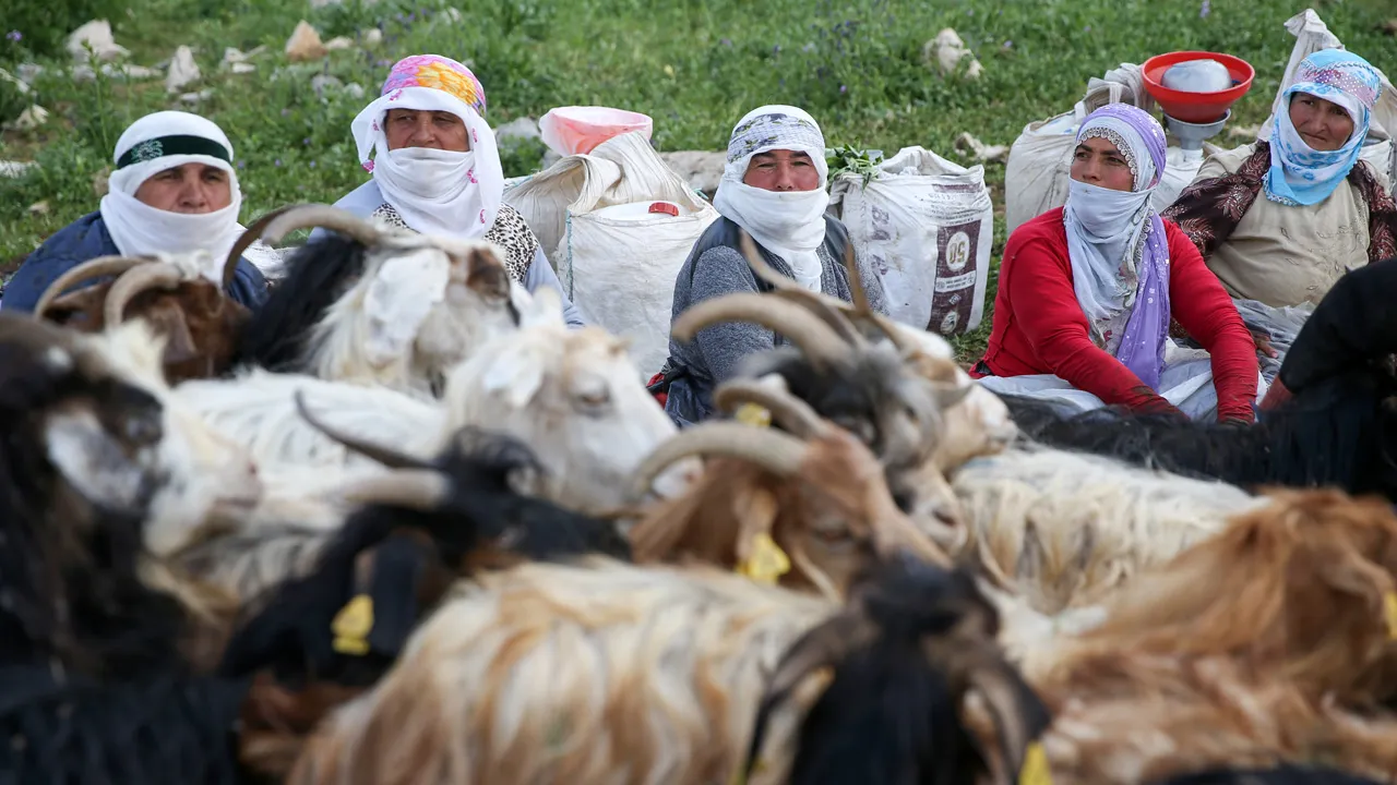 Geleceğin sofrası dünün bilgisinde saklı: Lezzet mirasımız kadınlara emanet