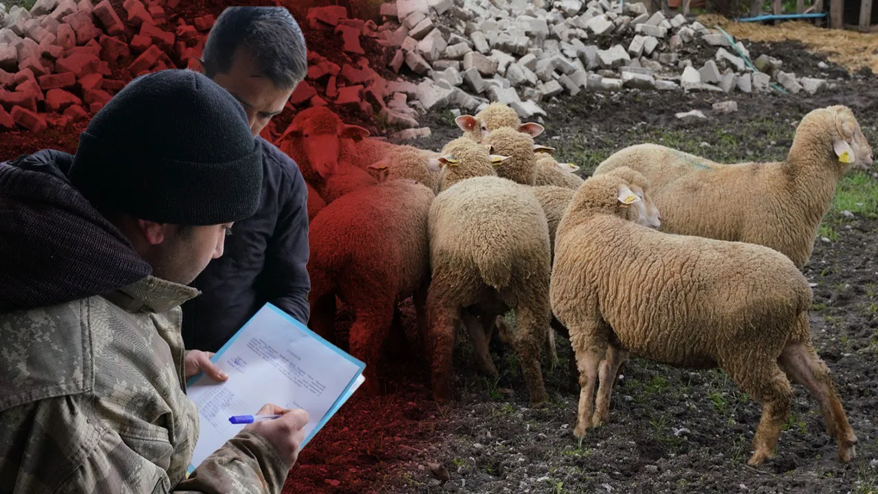 Yüzde 100 hibe ile destek verilecek! Balıkesir'de çiftçinin yüzü gülecek