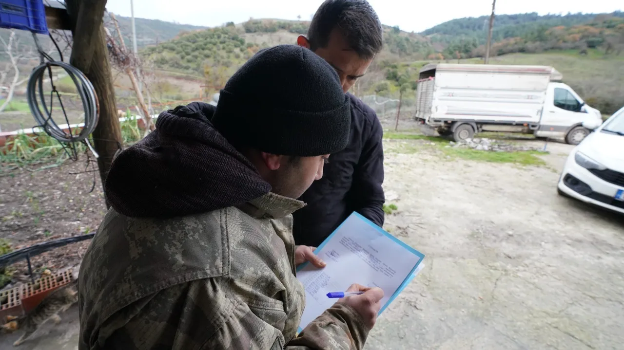 Yüzde 100 hibe ile destek verilecek! Balıkesir'de çiftçinin yüzü gülecek