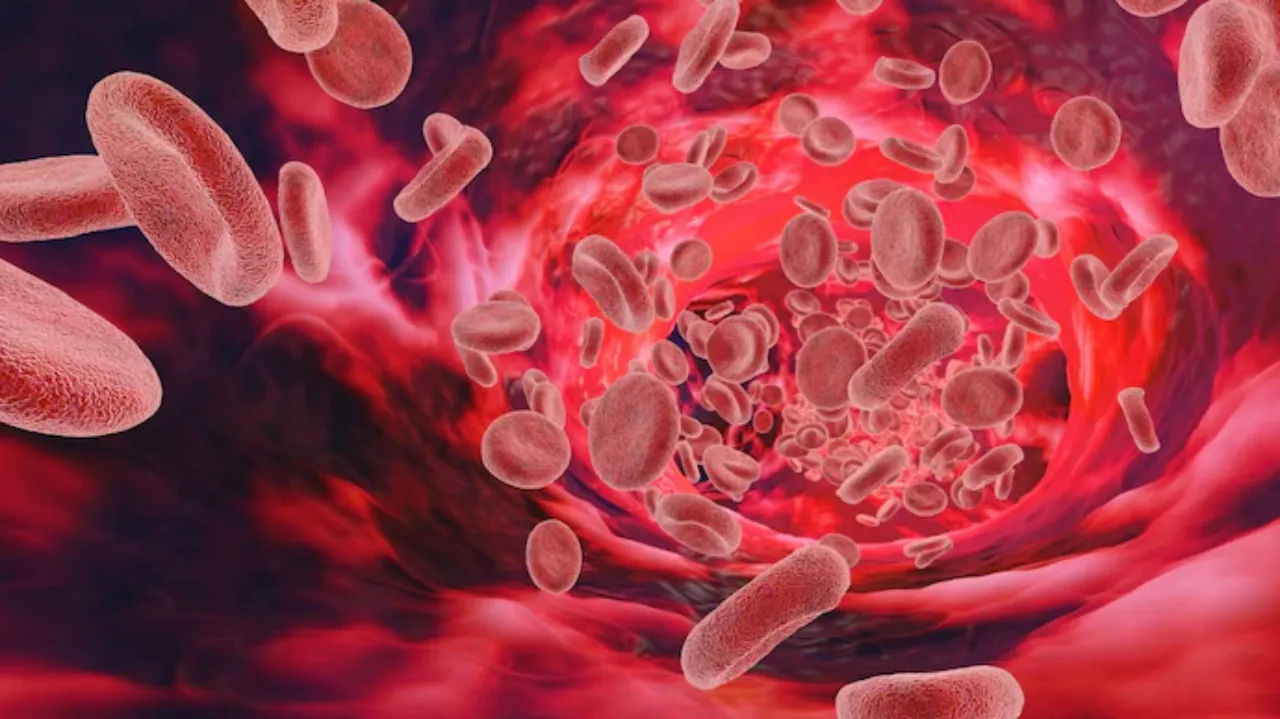 Bilim insanları, 50 yıllık bir gizemin ardından yeni bir kan grubu tespit etti