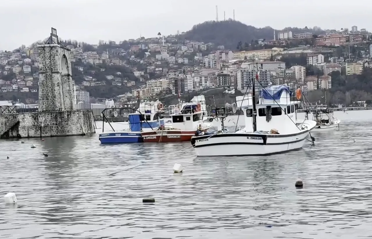 Havaların soğuması sektörü vurdu! Kilosu değil tanesi 350 lira