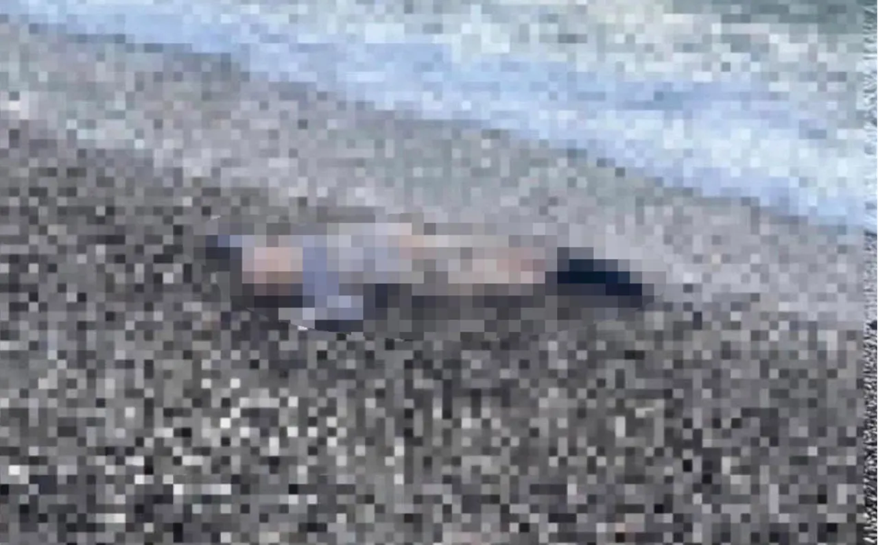 İzmir'de kahreden olay! Deniz kıyısında çocuk cesedi bulundu