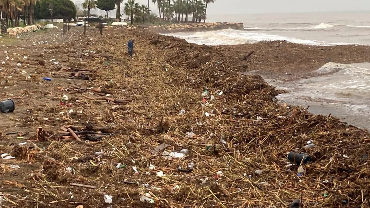 Sel sonrası sahile koştular! Yakmak için odun topladılar