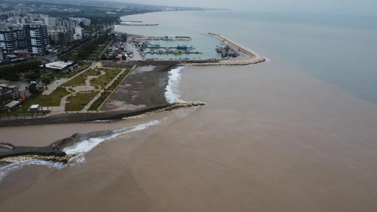 Sel sonrası sahile koştular! Yakmak için odun topladılar