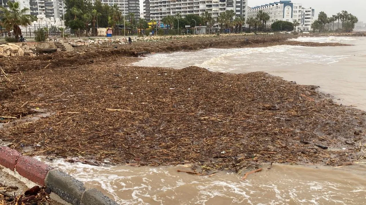 Sel sonrası sahile koştular! Yakmak için odun topladılar