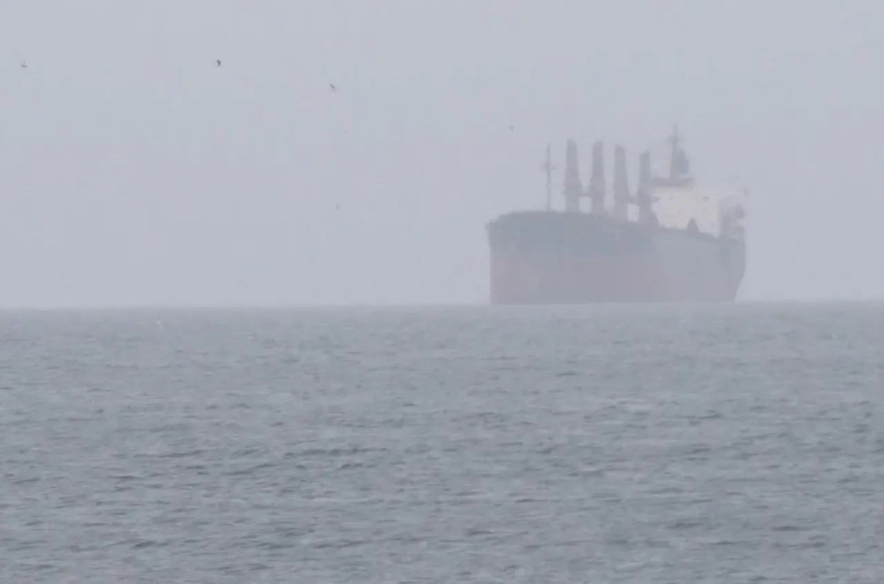 Ukrayna'ya giden gemi İstanbul Boğazı'nda arızalandı!