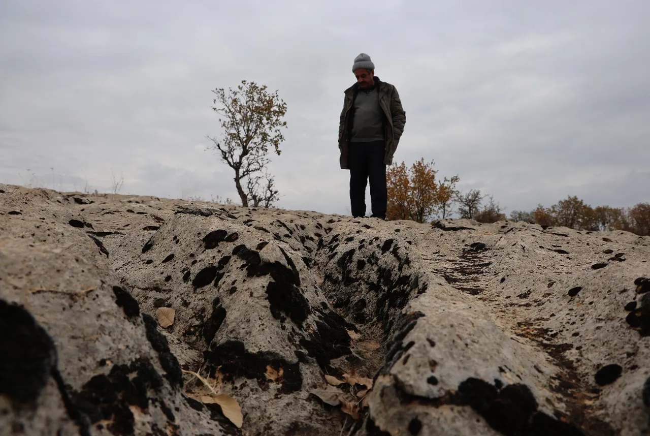 Diyarbakır’da kayaların arasında ‘Orta Doğu hazinesi’, 20 bin yıl sonra ortaya çıktı