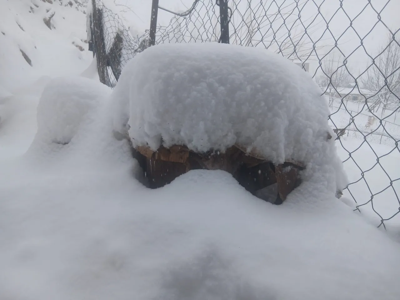 Kar kalınlığının en fazla olduğu kayak merkezi belli oldu! Tam 210 santimetre ölçüldü