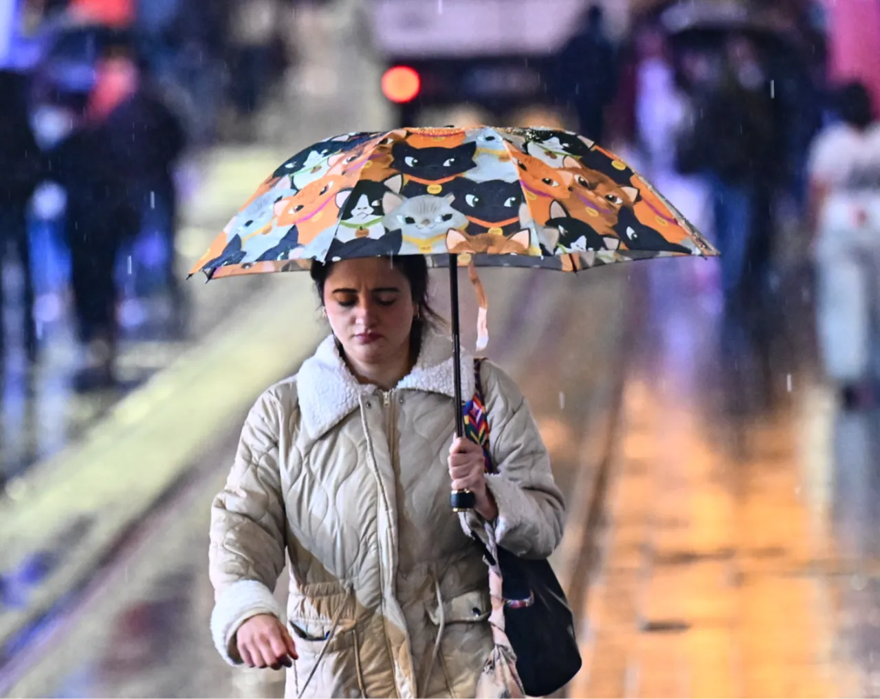 Karlı günler için yeni tarih verildi! Türkiye yeniden beyaza bürünecek