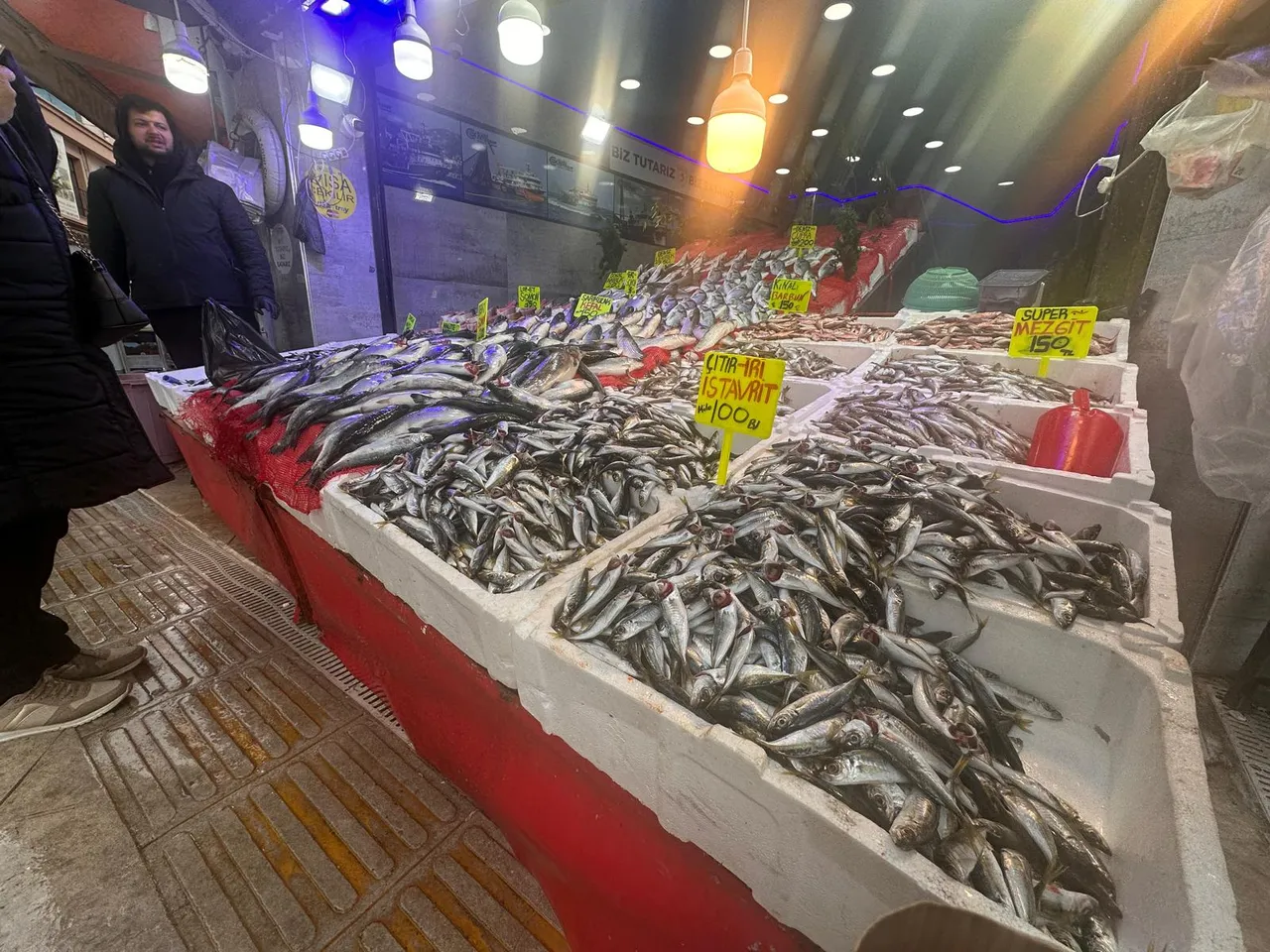 Samsunda balık bereketi: Hamsi 150 liradan tezgahlarda