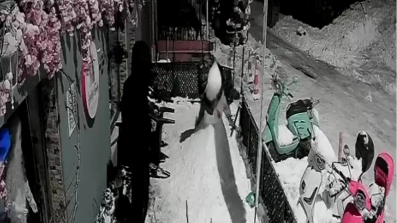 Zonguldakta kardan adama saldırı! Sarkıntılık iftirası sonrası yerle bir edildi