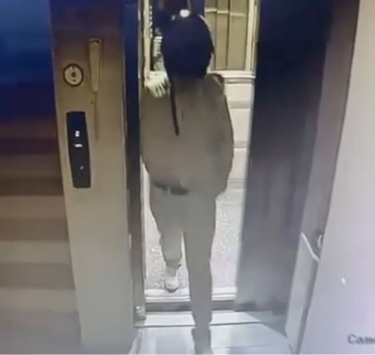 Böylesi görülmedi! Önce asansöre idrarını yaptı sonra damdaki kuşları çaldı