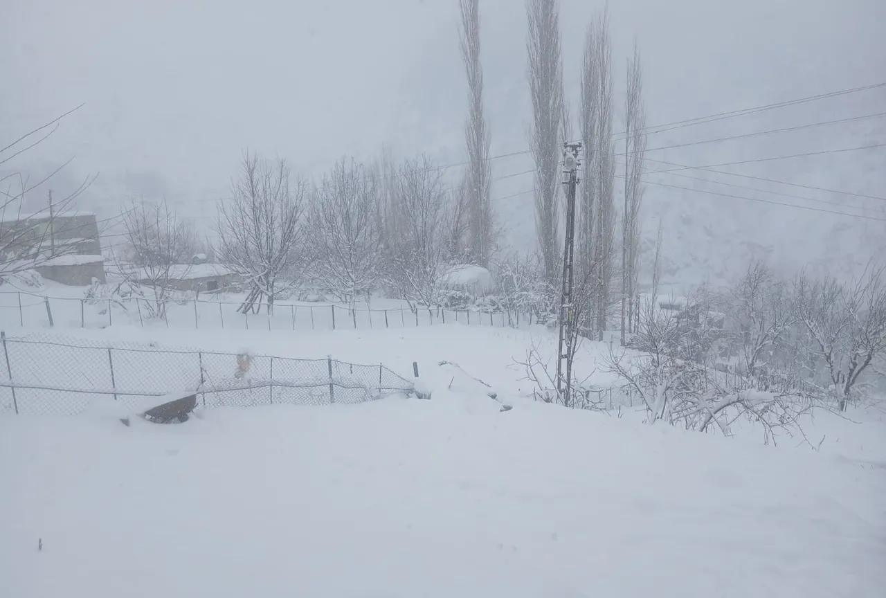 BATMAN'IN SASON İLÇESİNDE ETKİLİ OLAN KAR YAĞIŞI, BUZLANMA VE DON TEHLİKESİ NEDENİYLE TAŞIMALI EĞİTİME 1 GÜN ARA VERİLDİ. (EKREM AKTAŞ/BATMAN-İHA)Batman'ın Sason ilçesinde etkili olan kar yağışı, buzlanma ve don tehlikesi nedeniyle taşımalı eğitime 1 gün ara verildi.