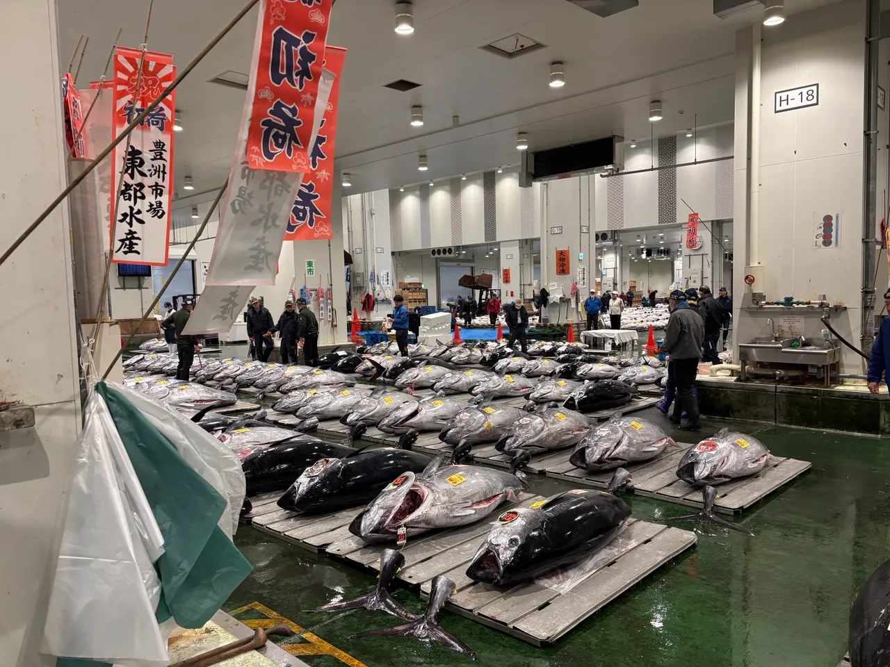 Japonyadaki balık mezatında tarihi rekor! Dev orkinosa milyon dolarlık teklif