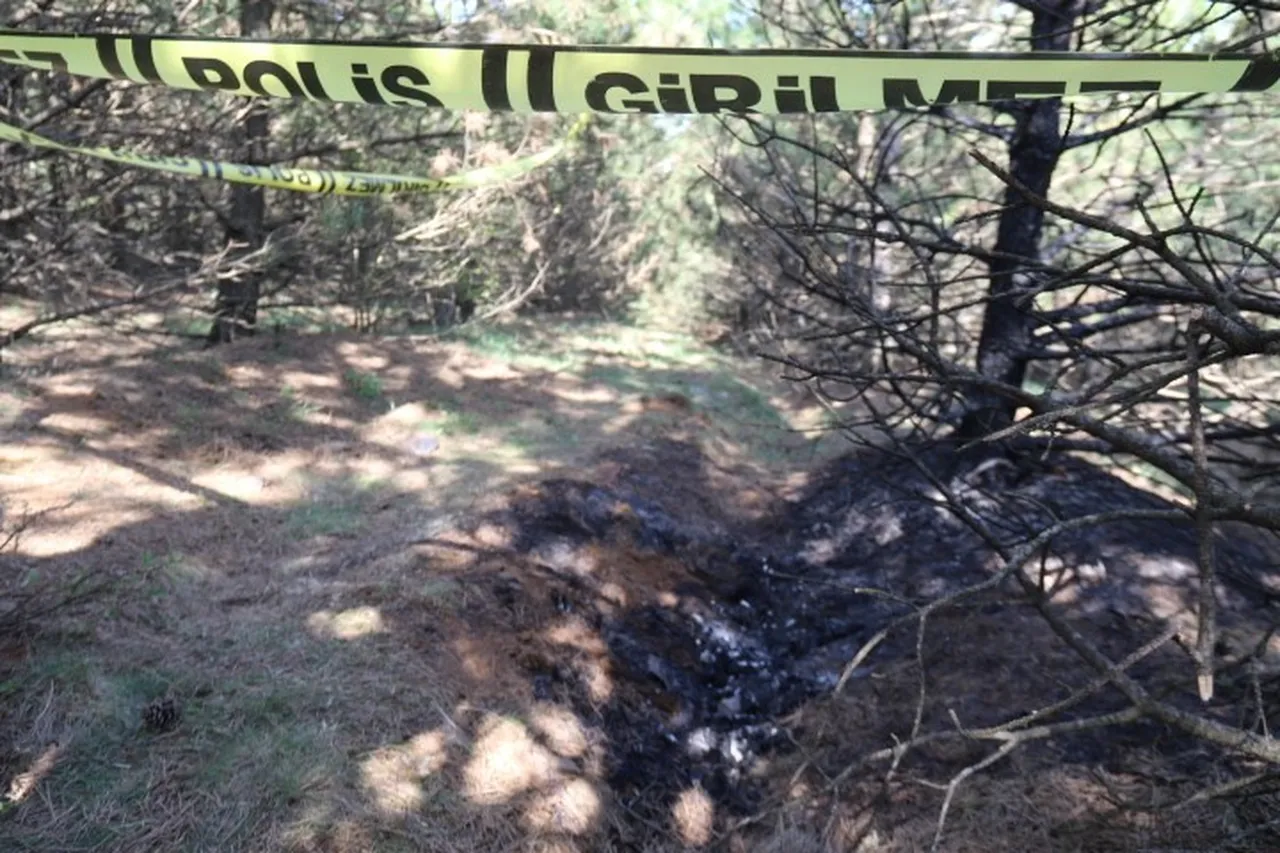 Maktul Deniz Oktay'ın yakıldığı yer