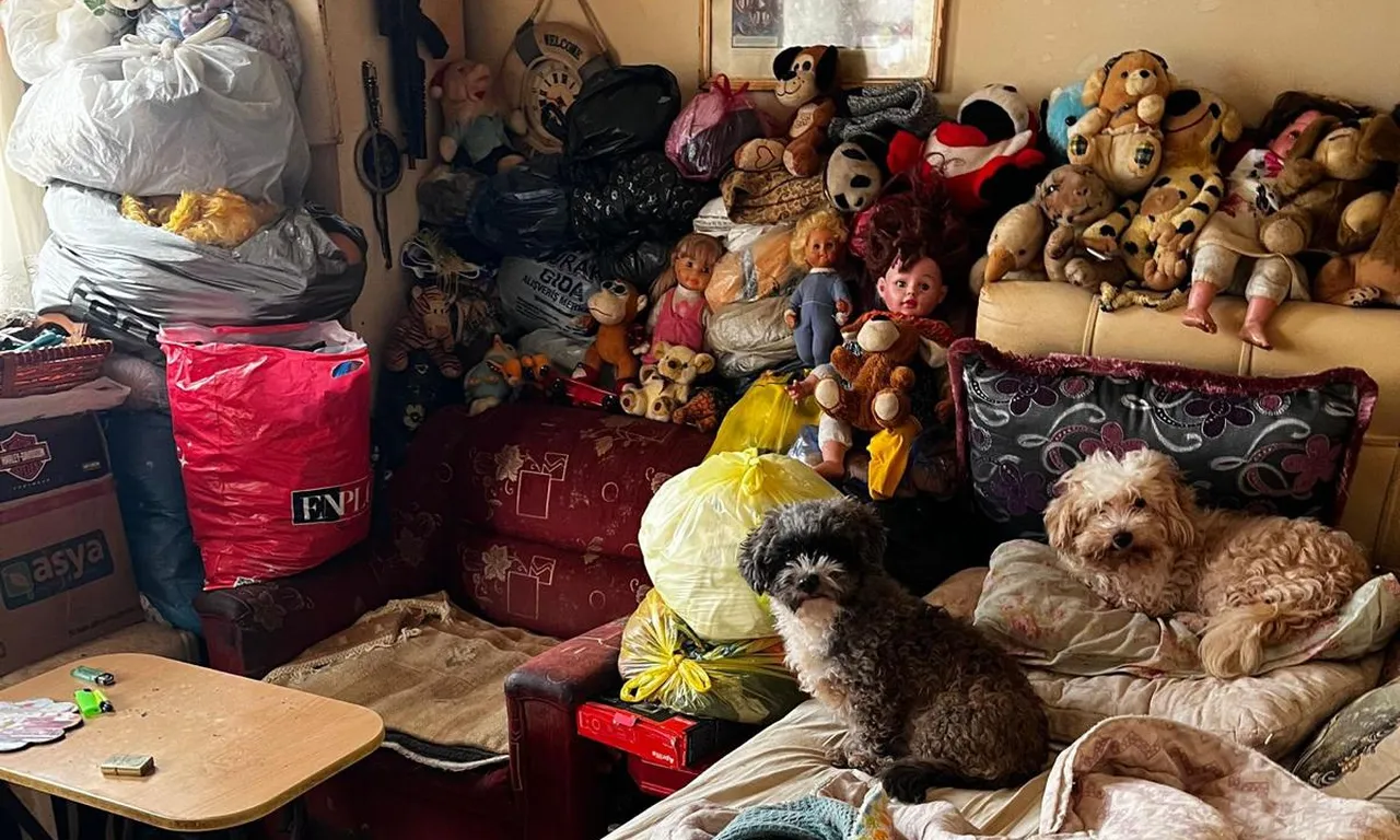 Komşular ihbar etti, gerçek ortaya çıktı! Tam 55 hayvan koruma altında