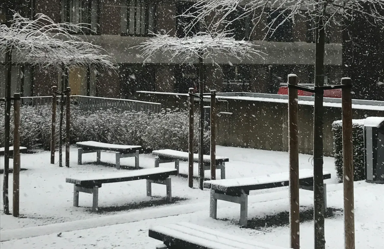 Son 10 yılın en soğuğu yolda! Belçikada termometreler eksi 17yi gösterecek