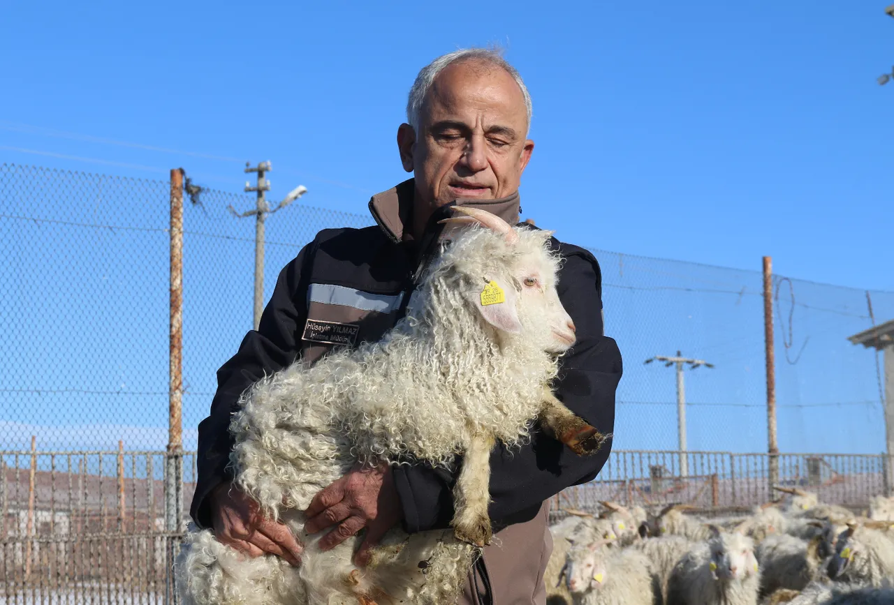 Türklerin Anadolu’daki en kıymetlisiydi! Nesli tükenmek üzere