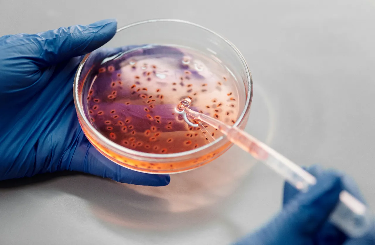 Vücudunuzdaki saatli bomba: Her 6 enfeksiyondan biri artık neden tedavi edilemiyor?