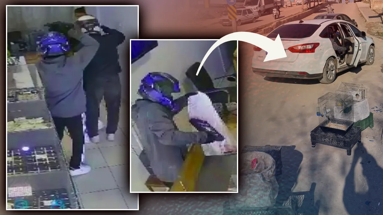  22 milyon TL 3 dakikada buhar oldu! Silahla gelip altın dolu torbalarla çıktılar