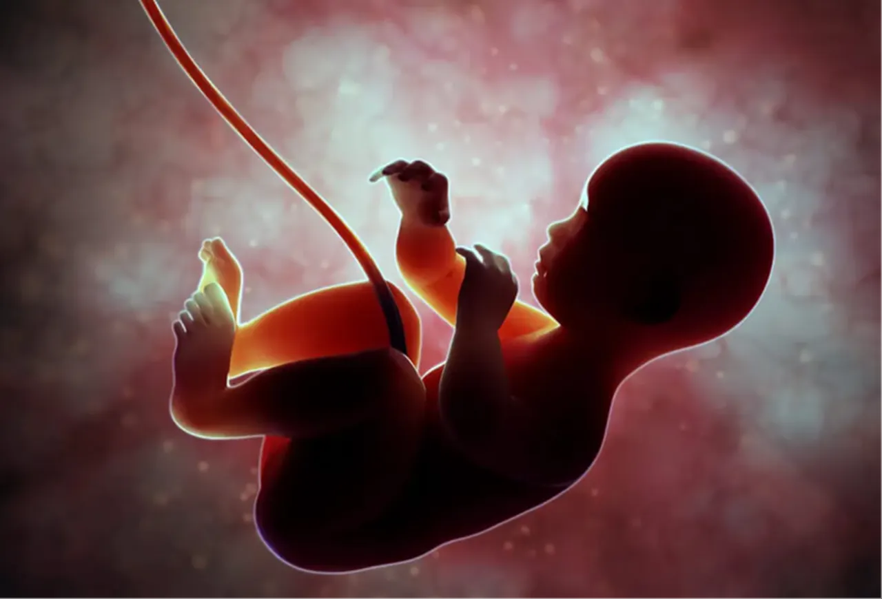 Annenin hamileyken yedikleri çocuk sağlığını yıllar boyu etkiliyor! En tehlikeli iki madde