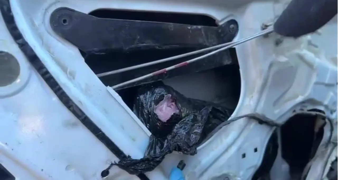 Binlerce uyuşturucu hapla yakalandı,  Babam hastaydı  savunması şaşkına çevirdi