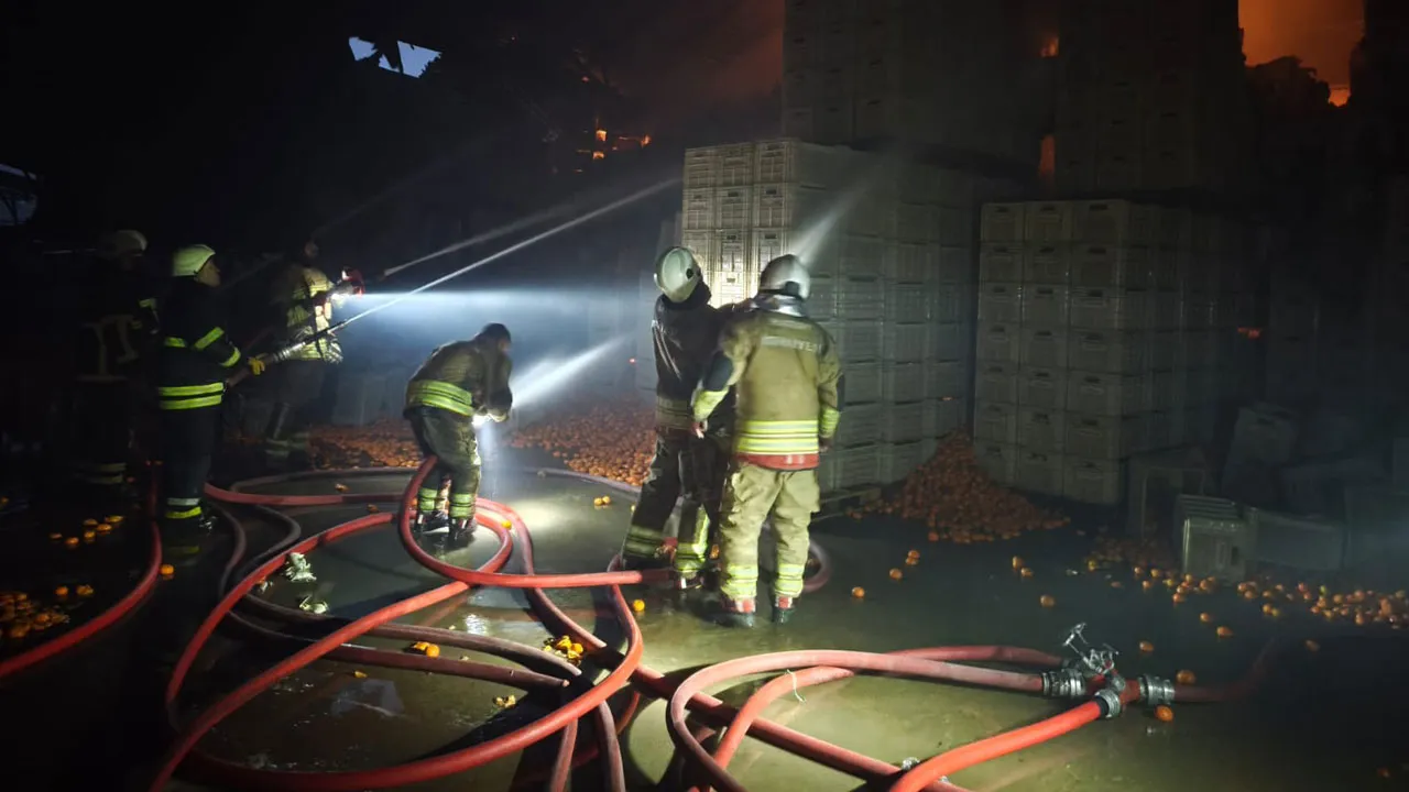 Hatay Erzin'de narenciye paketleme tesisinde yangın: 60 işçi tahliye edildi, 1 işçi can verdi