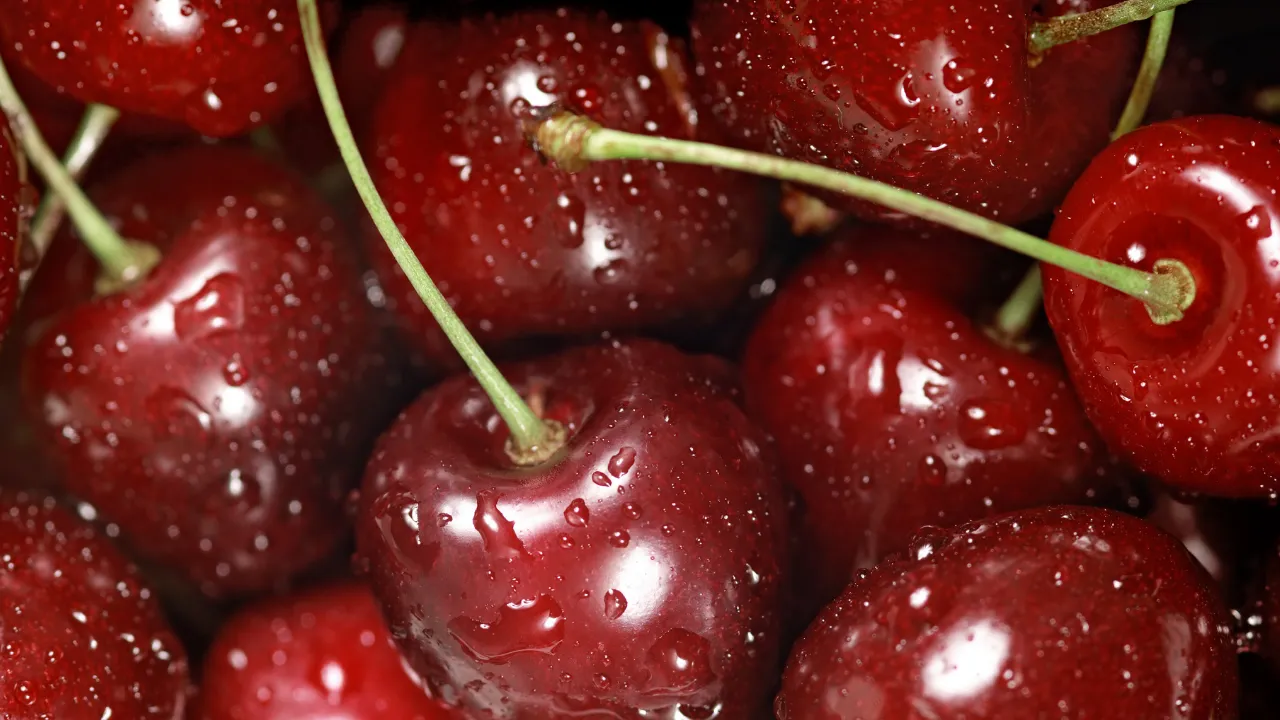 Japonyada yılın ilk kirazı rekor fiyata alıcısıyla buluştu! Tanesi 5 bin liradan fazla