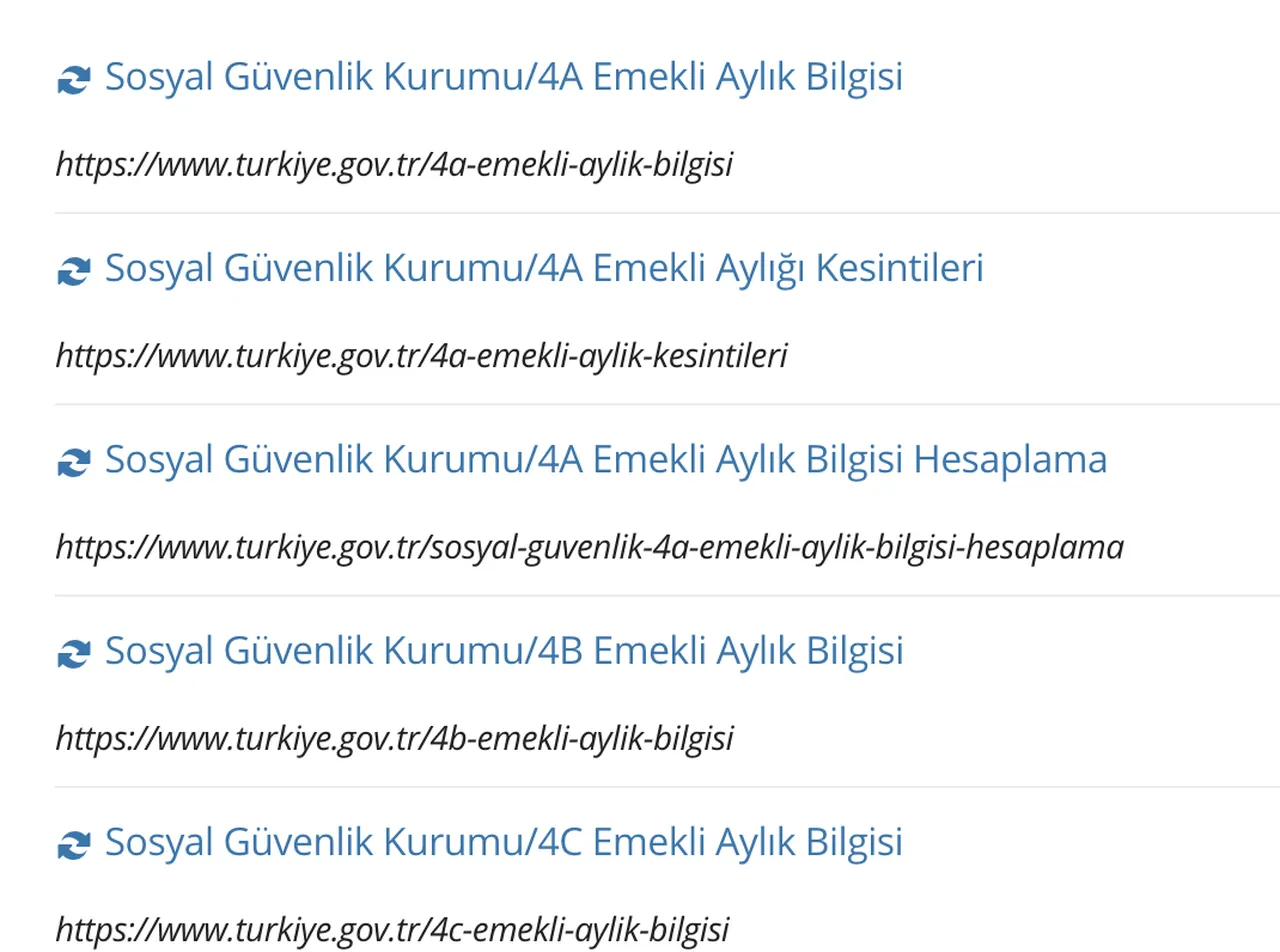 Ne kadar emekli maaşı alacağım? 2026 emekli maaş hesaplama ve e-Devlet sorgulama ekranı