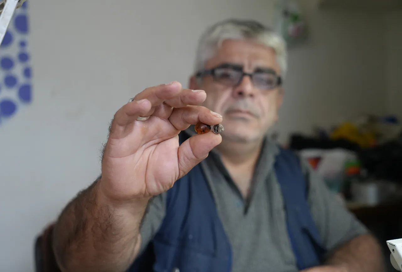 Taşın içinden çıktı, böylesi görülmedi! Kehribar ustasında milyonlarca yıllık keşif 