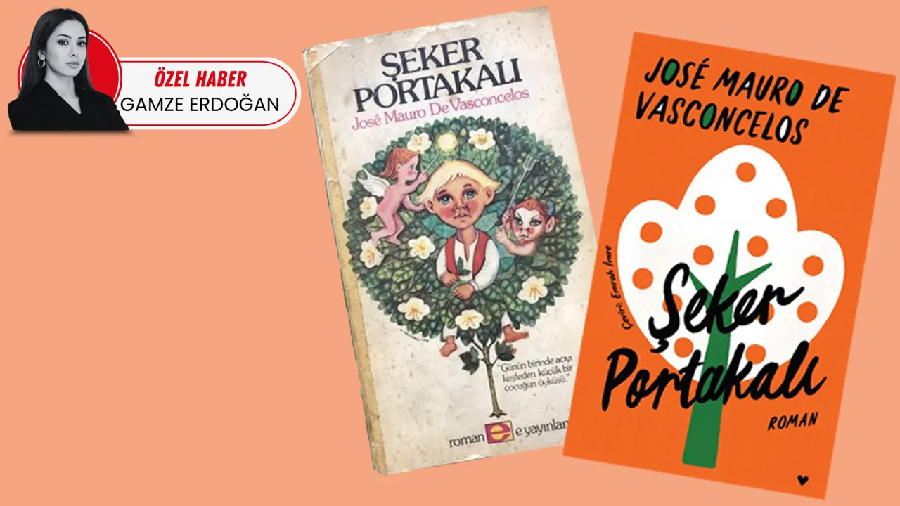 Yargıtay, tercümanı haklı buldu: Şeker Portakalı’na isim davası