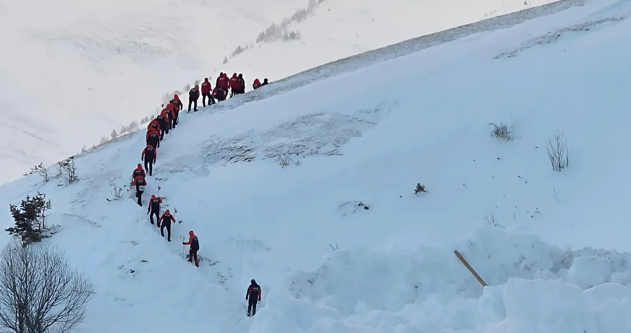 Artvin’de yeni çığ alarmı! Risk arttı, kayıp çobandan hiç iz yok