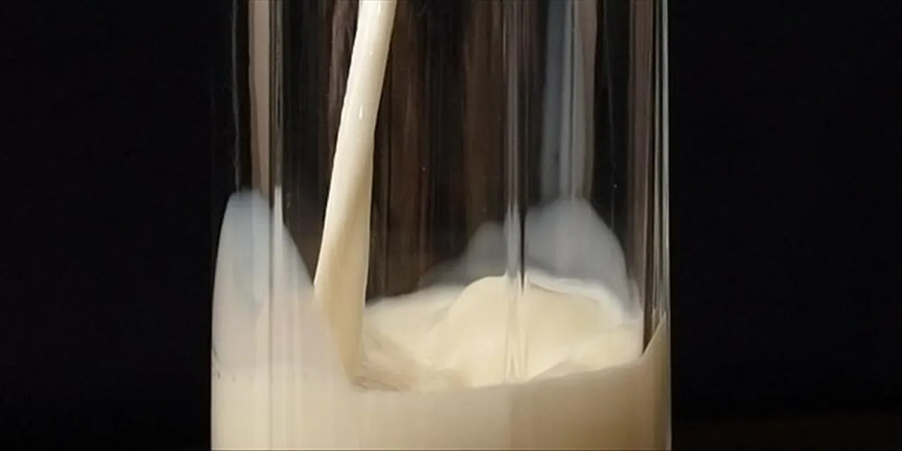 Çiğ süte zam geldi! Peynir ve yoğurt fiyatları da değişecek